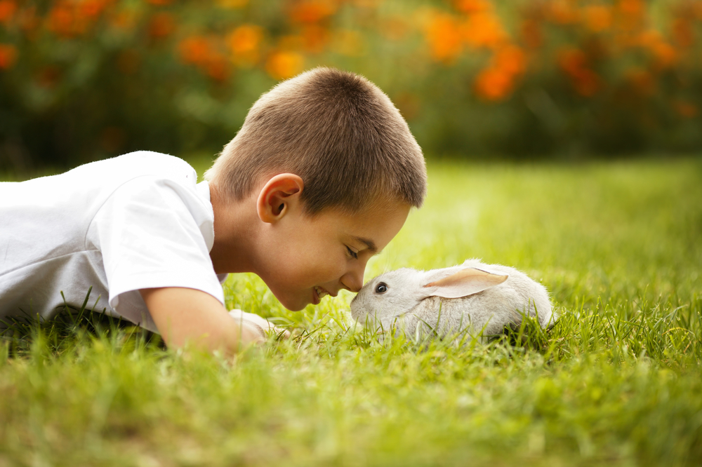 How A Pet Can Help Your Child With Autism